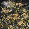 Tisane Régulatrice féminine
