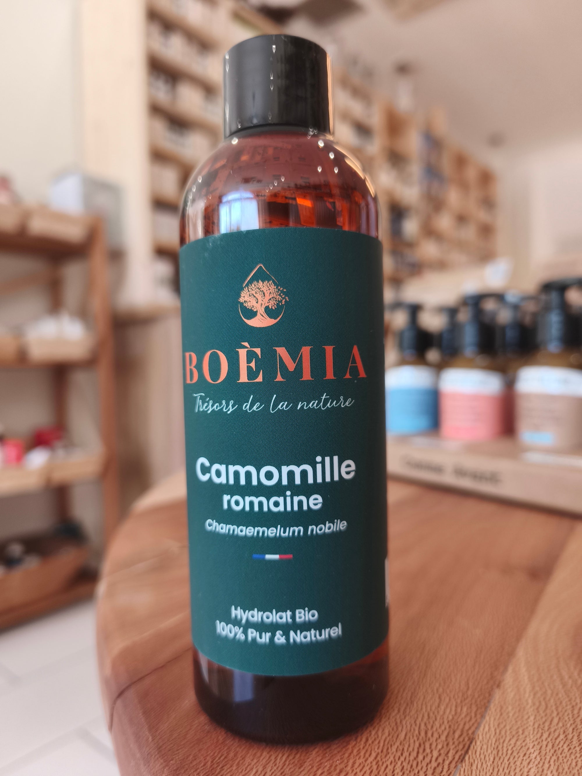 Camomille romaine