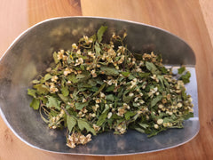 Aubépine som.fl
