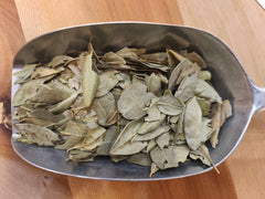 Boldo feuilles