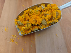 Calendula capitules