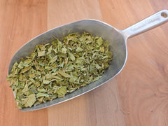 Stévia feuilles