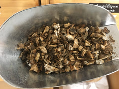 Bardane racines