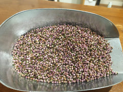 Bruyère fleurs