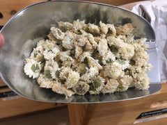 Camomille romaine capitules