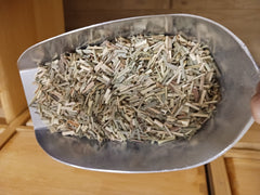 Citronnelle feuilles