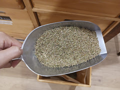 Cumin semence