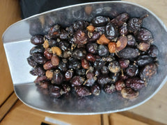 Cynorhodon fruit