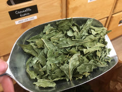Frêne feuilles