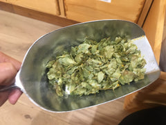 Houblon cônes