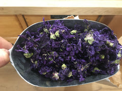 Mauve fleurs