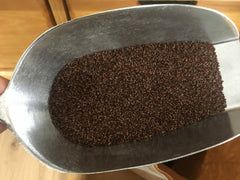 Psyllium graines