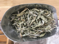Sauge officinale feuilles